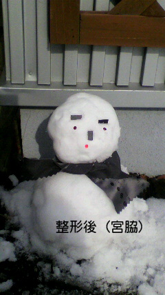 2011021913080000.jpg