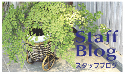 00�إå���Blog.jpg