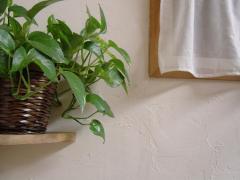 DSC01291.JPG