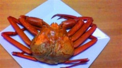 2012021520550000.jpg
